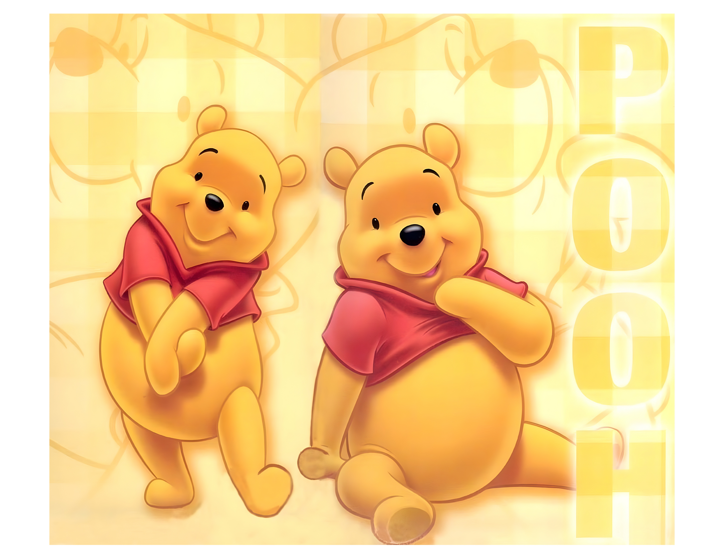 20 oz Sublimation Wraps-Pooh and Friends