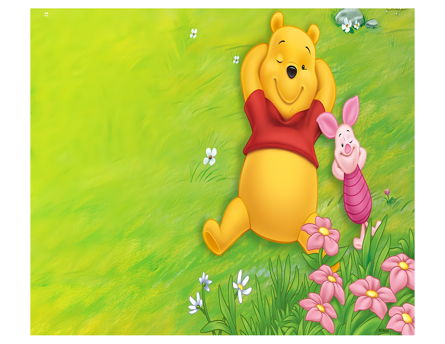 20 oz Sublimation Wraps-Pooh and Friends